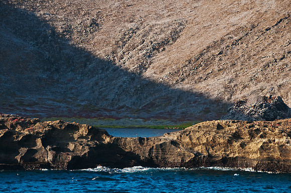 Flamingos in the caldera of Rocas Bainbridge