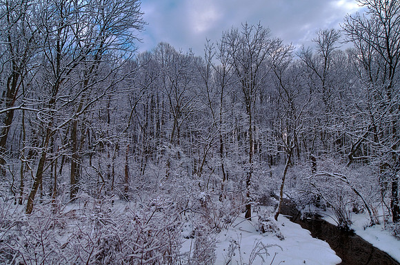 Bushey Point Creek, Leesylvania State Park, VA