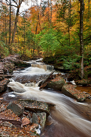 Ricketts Glen