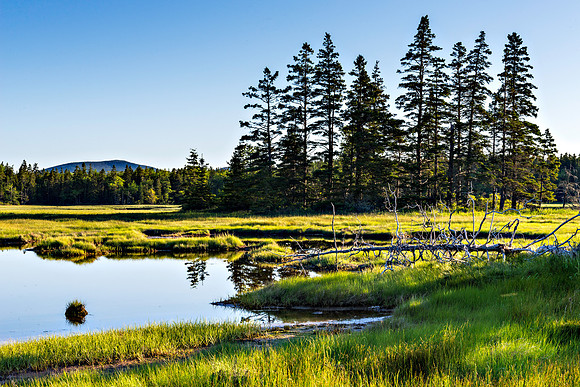Sunrise at Mitchell Marsh Preserve West Tremont 2