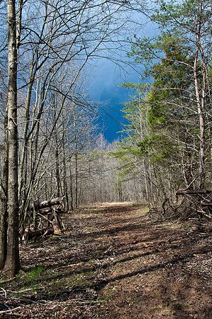Merrimac Farm Wildlife Management Area