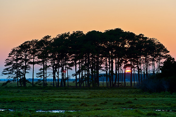 Sunset at Chincoteague