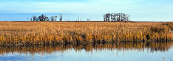 Bombay Hook