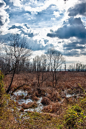 Featherstone National Wildlife Refuge