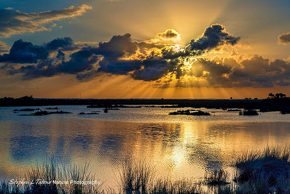 Sunset at the Merritt Island NWR