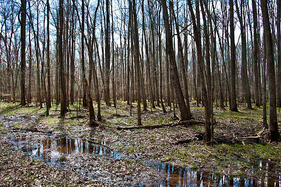Merrimac Farm Wildlife Management Area