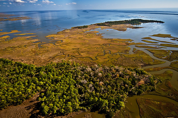 South of Cedar Key Along Gulf Coast
