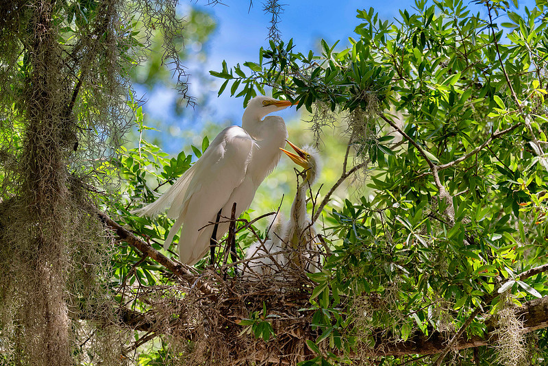 Stephen L Tabone Nature Photography | Home Page Slideshow