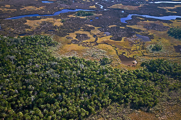 South of Cedar Key Along Gulf Coast