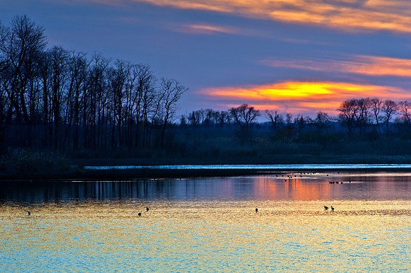 Sunset at Bombay Hook NWR