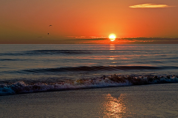 Outer Banks, NC