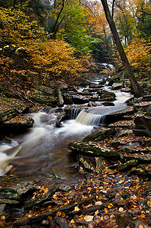 Ricketts Glen