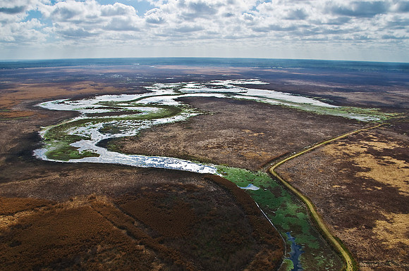 La Chua Trail on Paynes Prairie