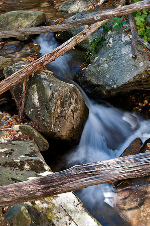 Rose River