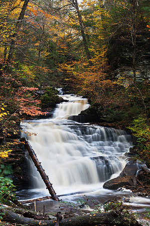 Ricketts Glen