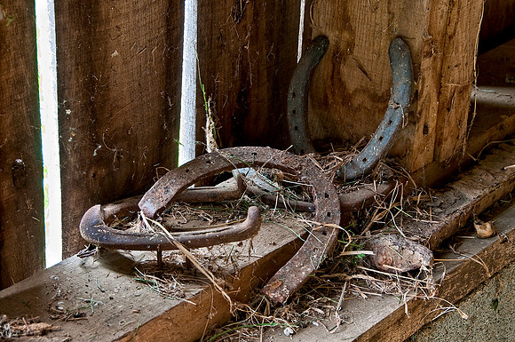 Horse Shoes in Old Barn