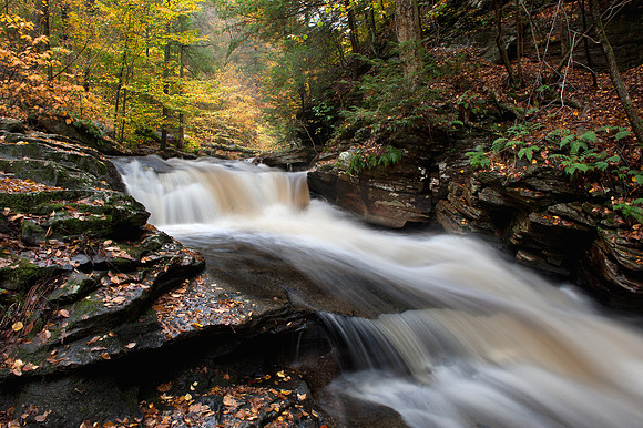 Ricketts Glen