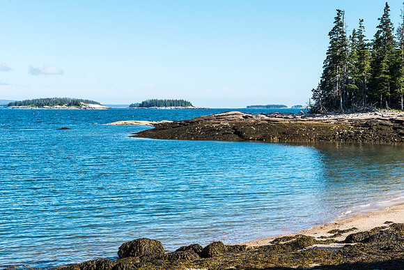Goose Cove on Deer Isle