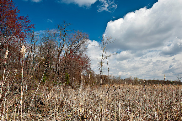 Featherstone National Wildlife Refuge