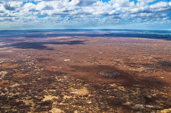 Westward View of the Prairie