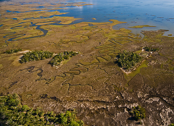 South of Cedar Key Along Gulf Coast 1.jpg