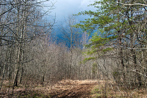 Merrimac Farm Wildlife Management Area