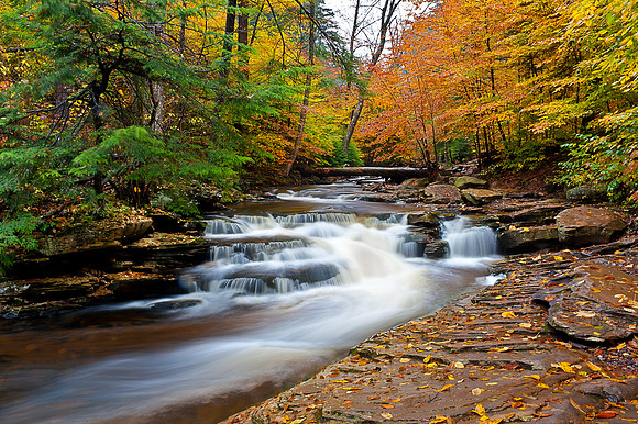 Ricketts Glen