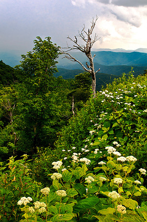 Rain Approaching on the Blue Ridge Parkway