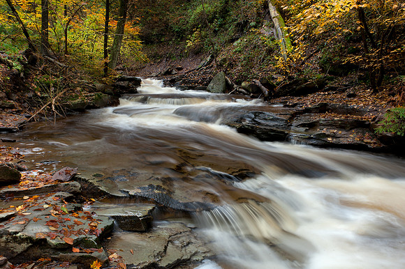 Ricketts Glen