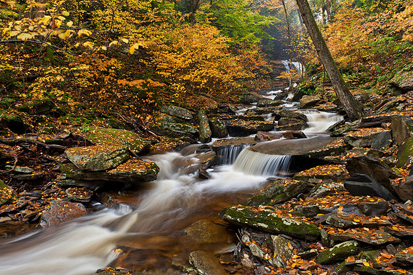 Ricketts Glen