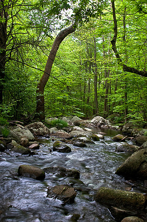 Hazel River near Sperryville, VA