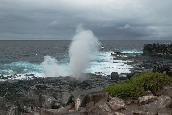 Blow-Hole