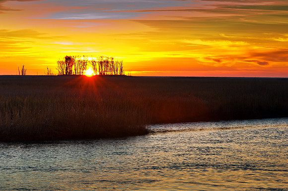 Bombay Hook Sunrise