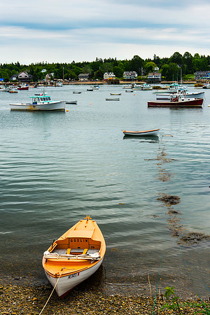 Bernard on Bass Harbor