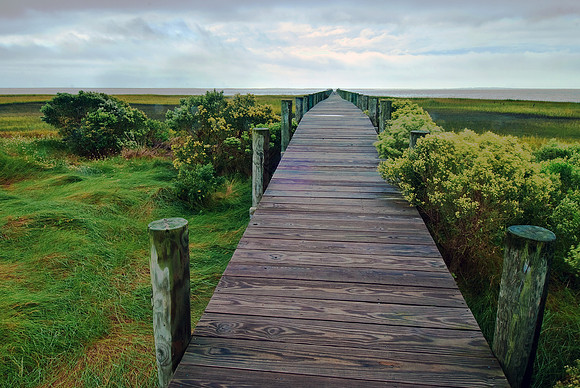 Early Morning on Upshur Bay, Eastern Shore, VA