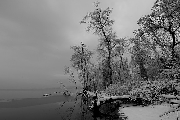 Bushey Point, Leesylvania State Park, VA