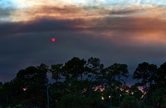Sunsetting Sun on a Florida Forest Fire