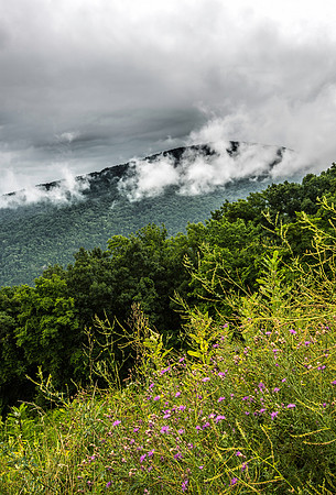 Cloudy Day in Shenandoah Mountains