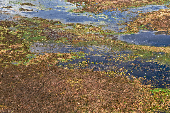 Thousand(s) of Sandhill Cranes on the Prairie