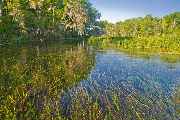 Ichnetucknee River