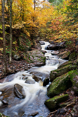 Ricketts Glen