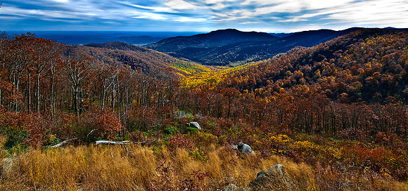 Fall in Shenandoah National Park
