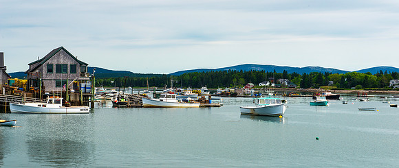 Bernard on Bass Harbor