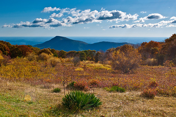 View of Old Rag Mountain
