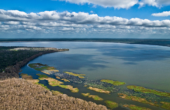 Newnans Lake, Gainesville, FL