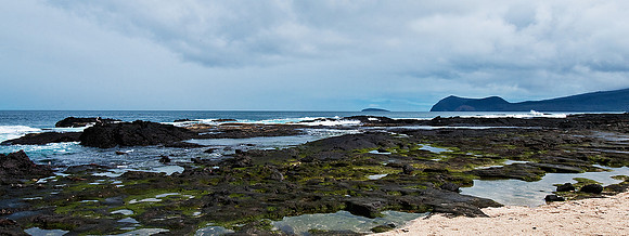 Genovesa Island