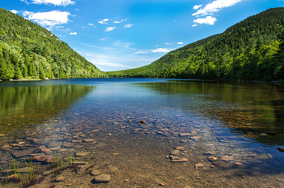 Bubble Pond
