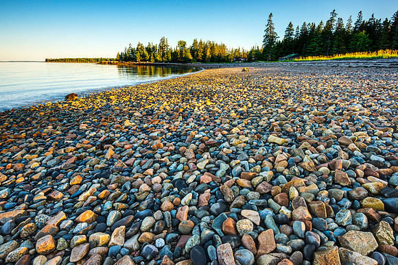 Low Tide at Mitchell Masrsh Preserve