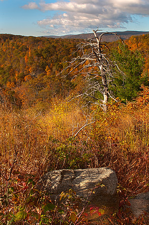 Sunrise on Shenandoah National Park