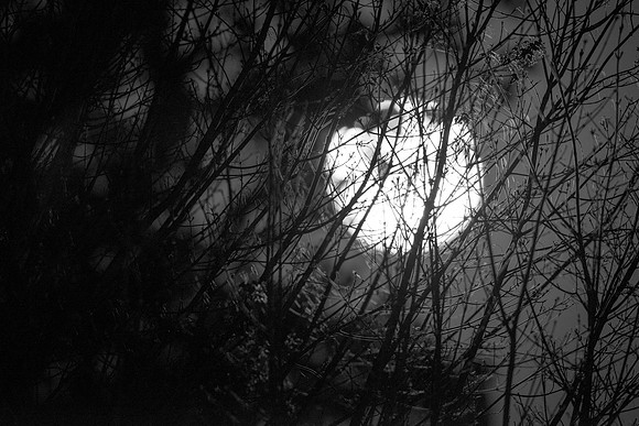 Full Moon - April 2012